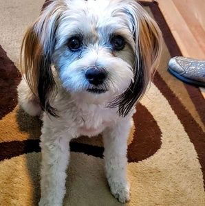 Meet your Posher, Joyce